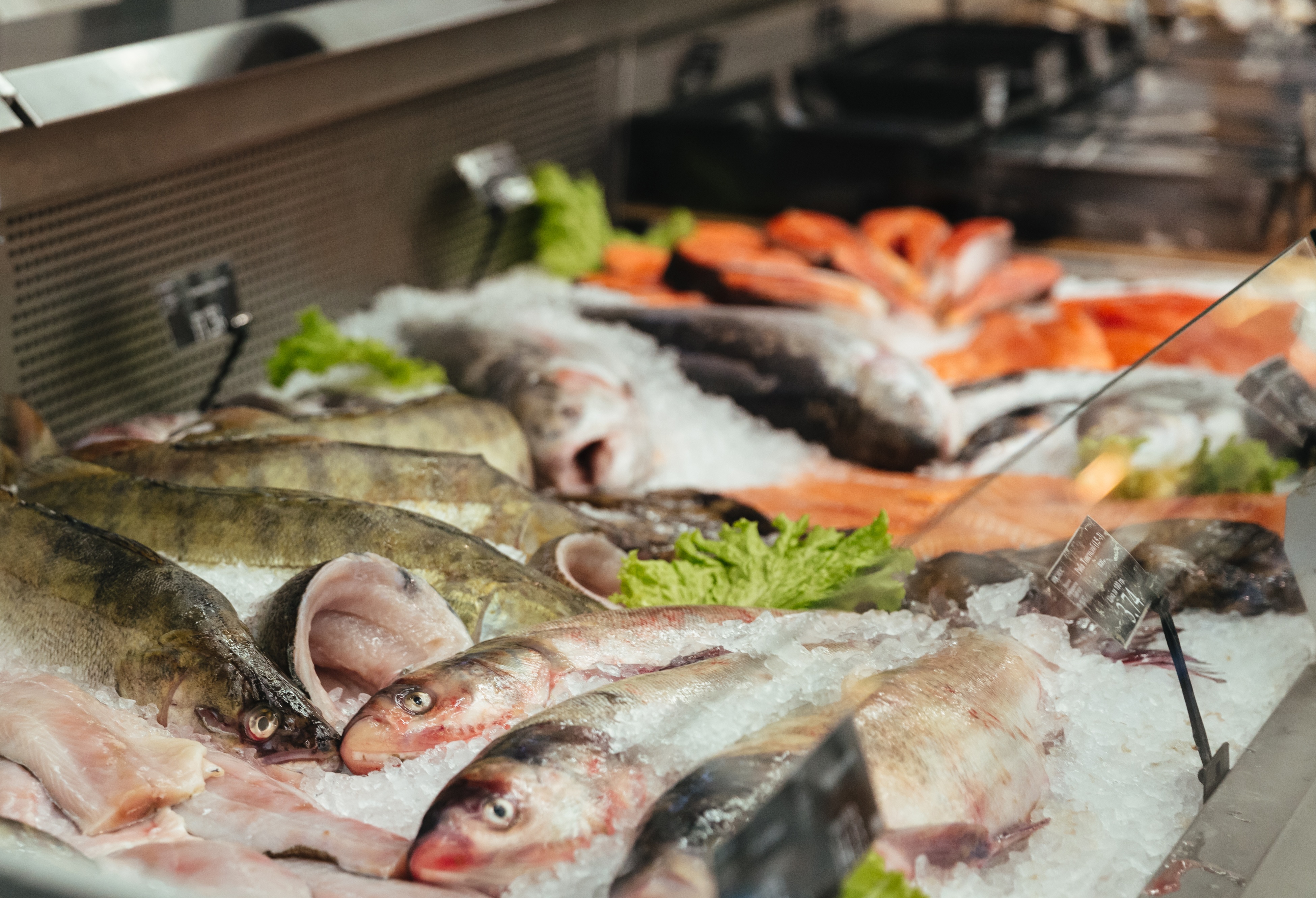 도시락·밀프렙 가이드