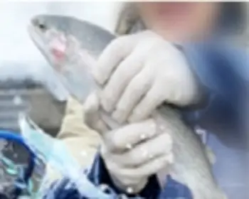 양평딸기 송어축제_17