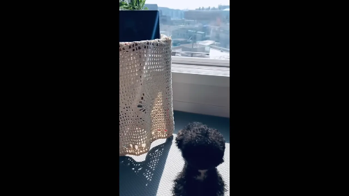 유튜브채널 'GO! 영욱'