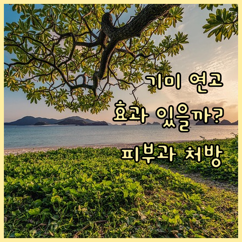 피부과 처방 연고로 기미 치료 가능할..