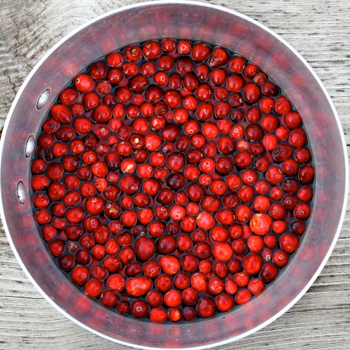 크랜베리 한 접시