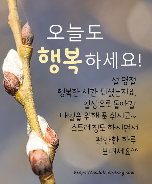연휴마지막날