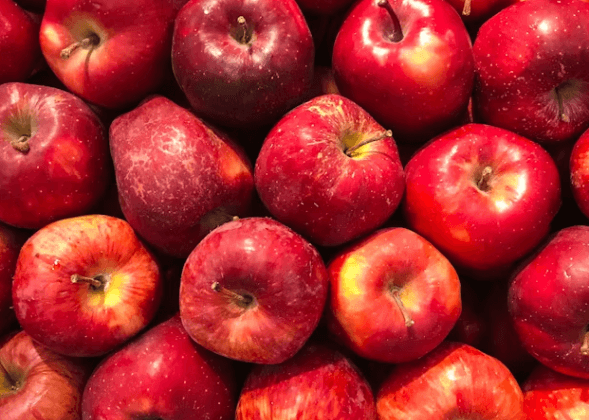 신장 건강 관리법, 초기 징후와 좋은 음식 7가지