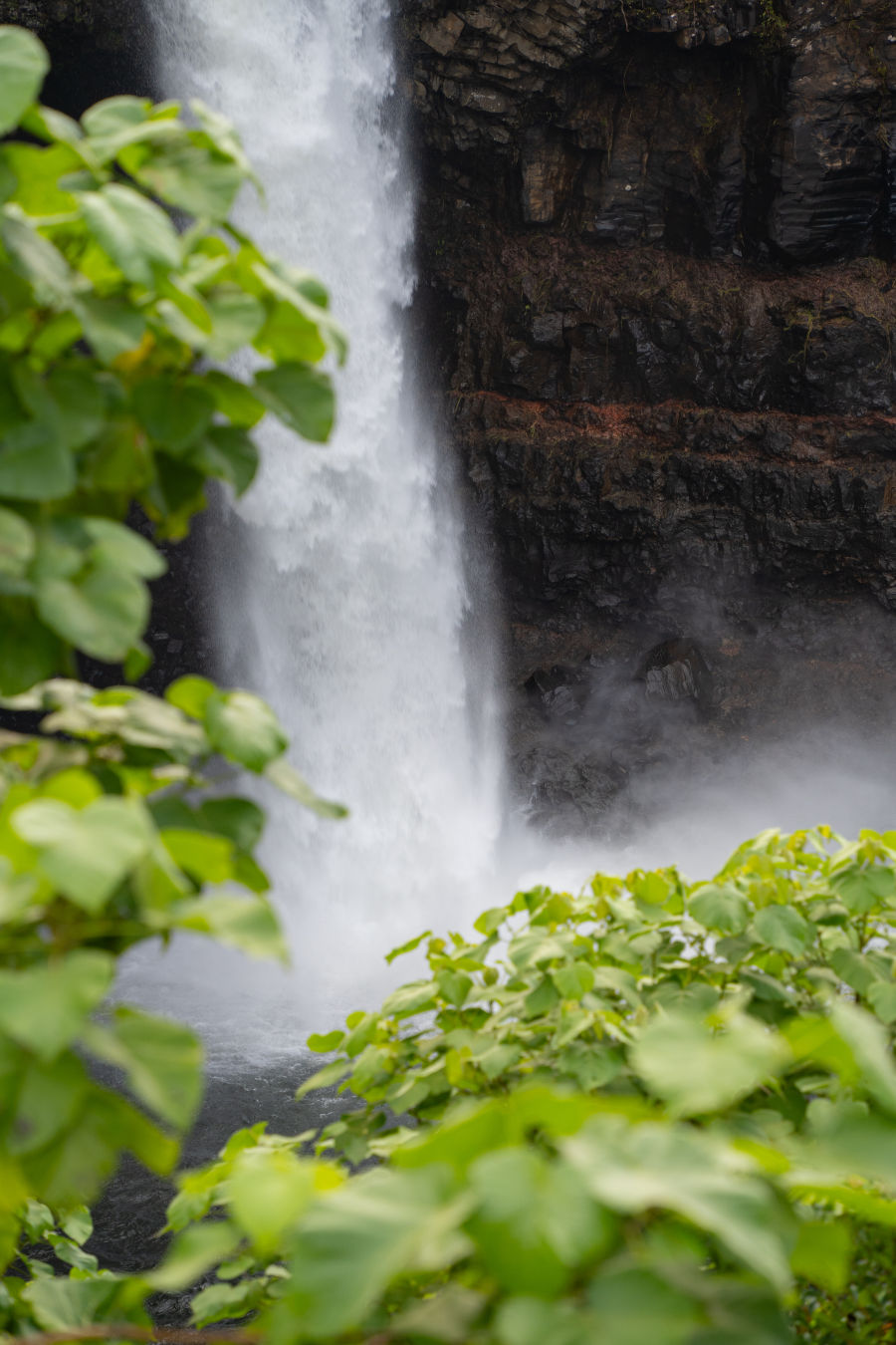 하와이 힐로 레인보우 폭포