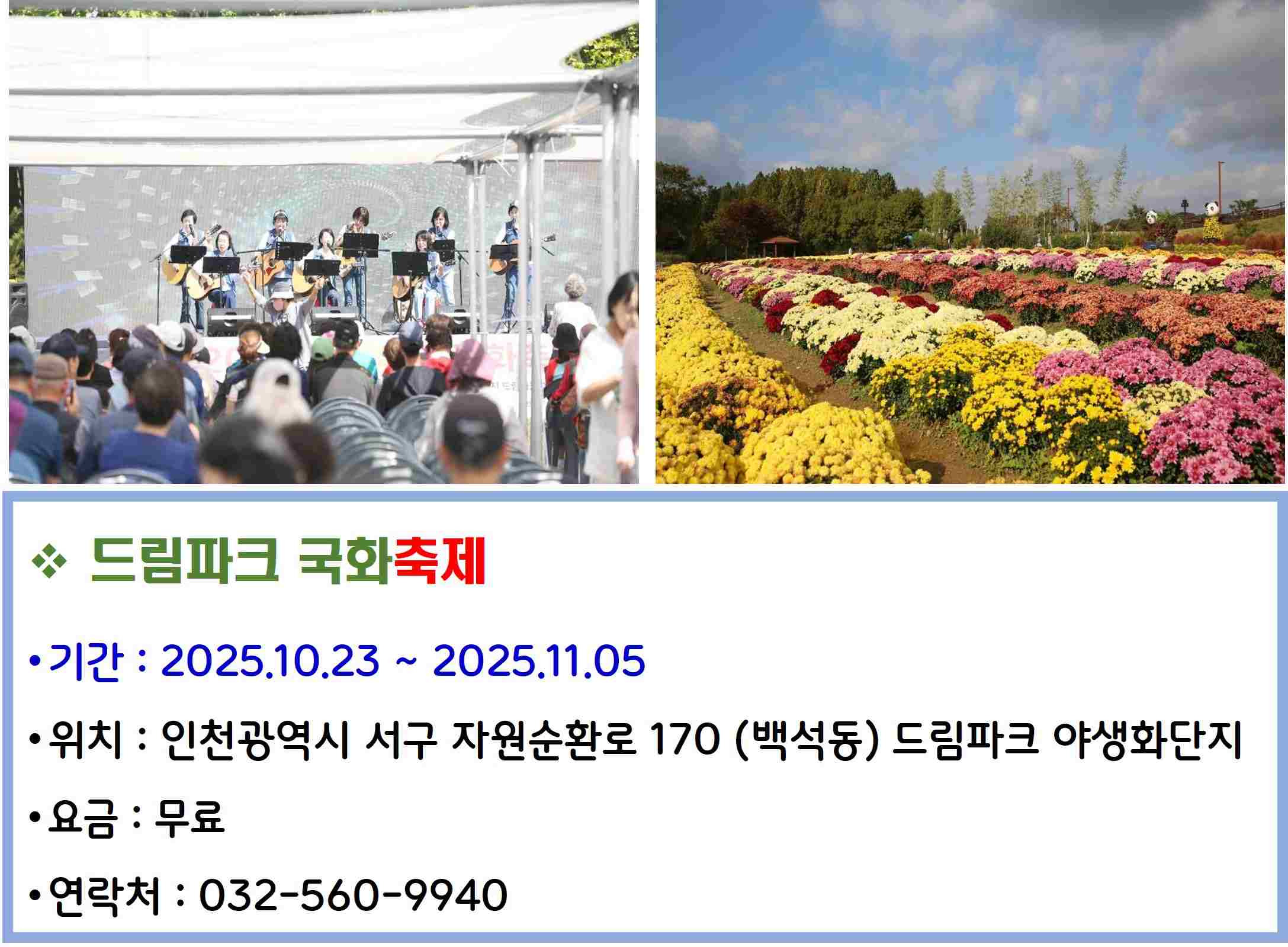 드림파크 국화축제