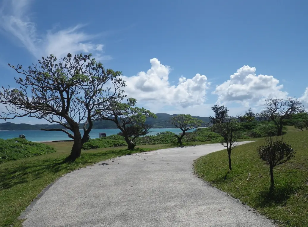 5월 2일 임시공휴일