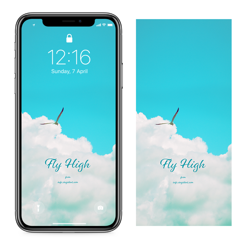 01 푸른 하늘 갈매기 C - Fly High 아이폰하늘배경화면