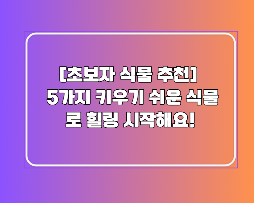 [초보자 식물 추천] 🔥 5가지 키우기 쉬운 식물로 힐링