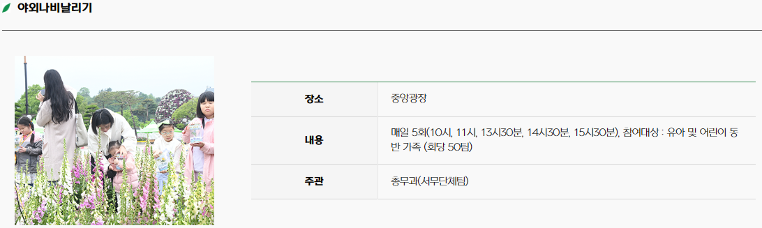 함평 나비 축제11