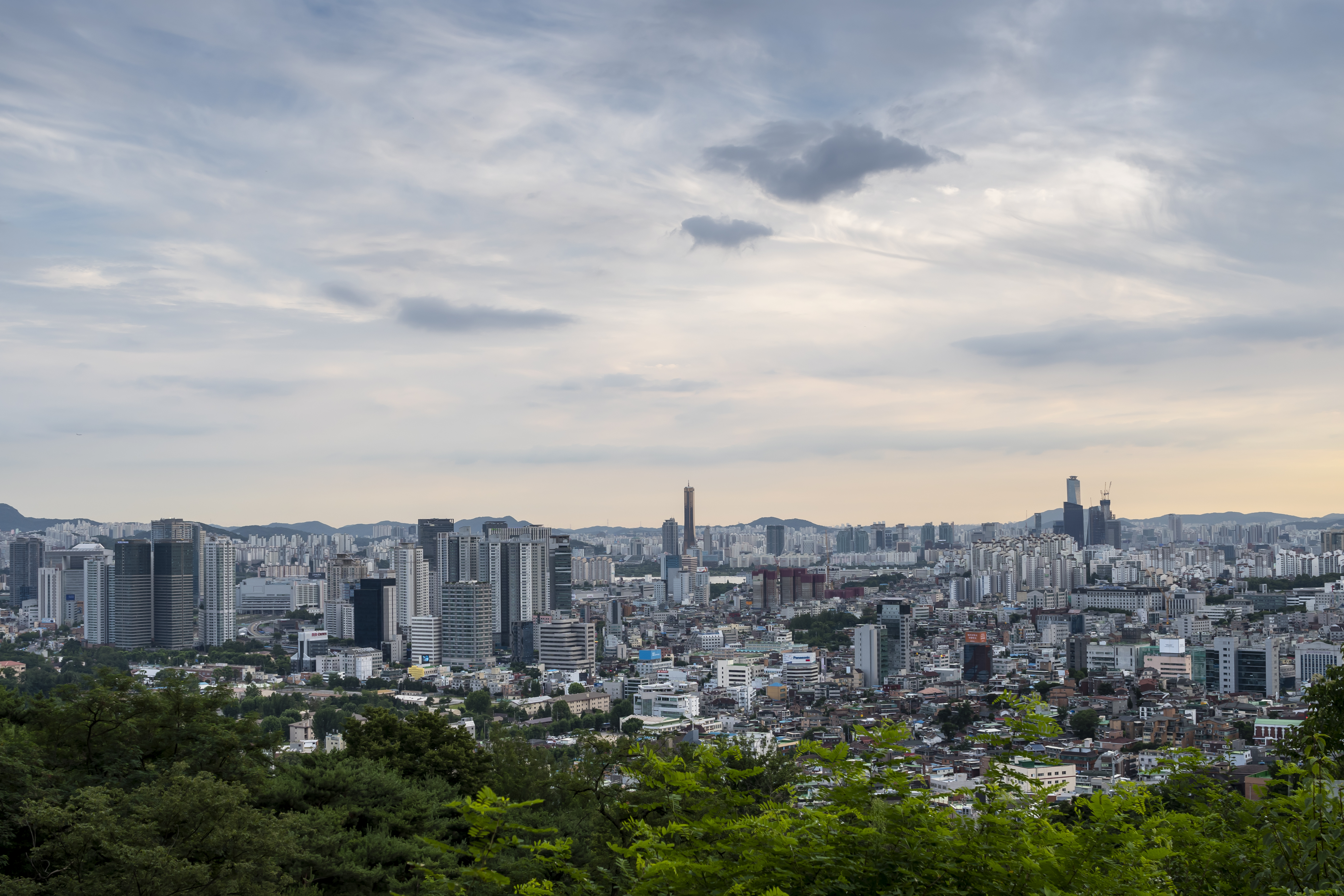 2025 청년 해외취업 지원 프로그램 관련 사진