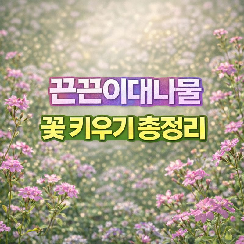 끈끈이대나물 꽃 키우기, 꽃말·물관리·번식·분갈이·가지치기·월동 썸네일