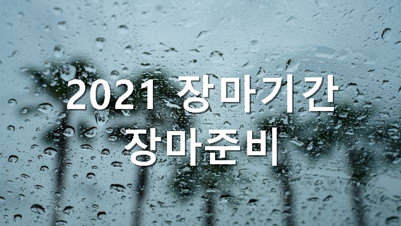 2021년 장마기간