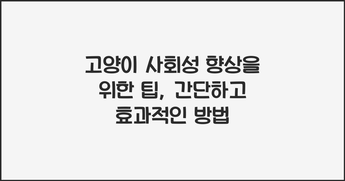 고양이 사회성 향상을 위한 팁