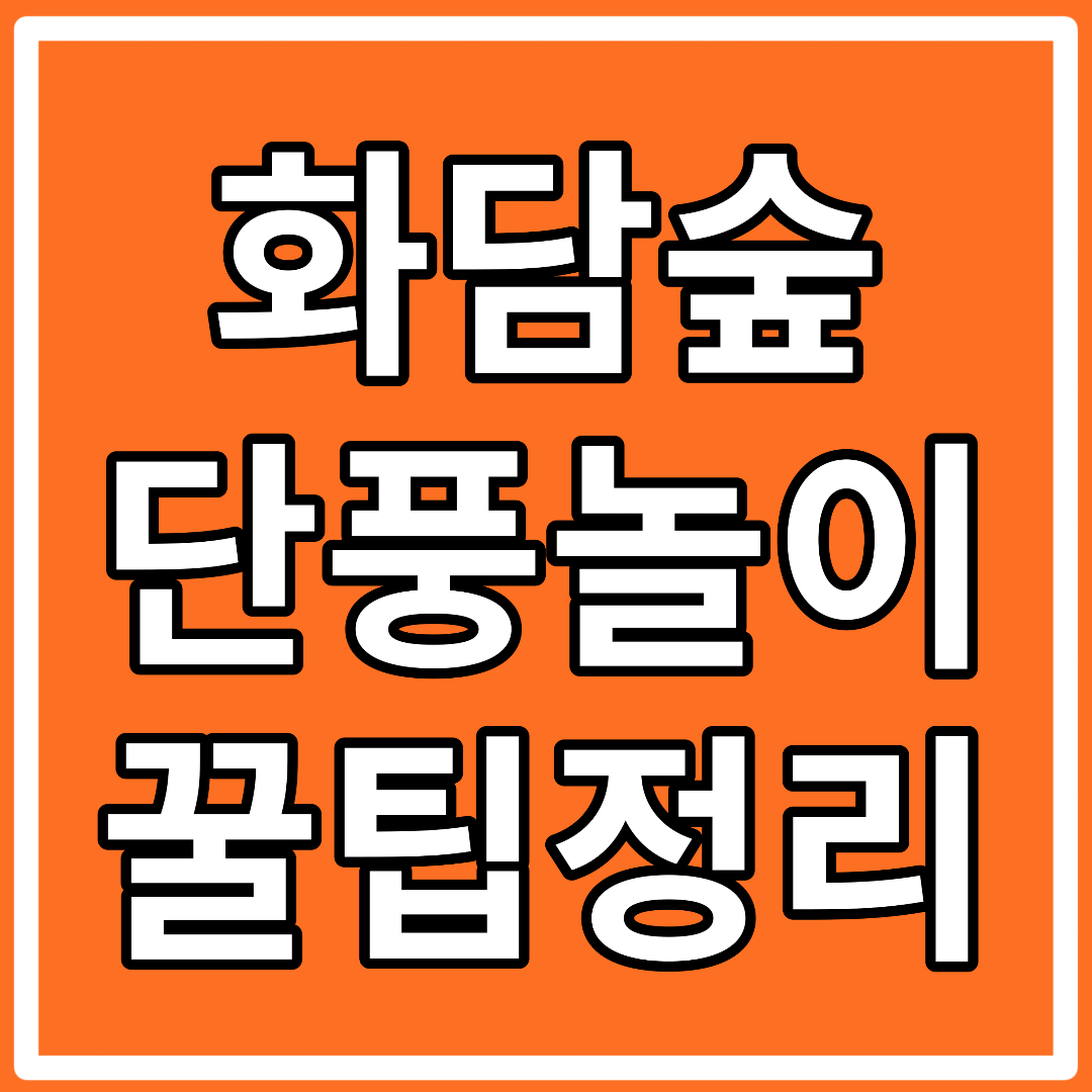 화담숲 단풍 모노레일 예약 주차 꿀팁