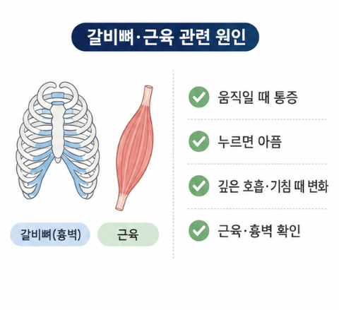 움직이거나 깊게 숨 쉬고 특정 부위를 누를 때 달라지는 근육과 흉벽 통증 특징을 설명한 이미지