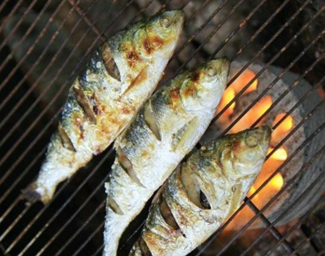 제24회 광양전어축제 일정