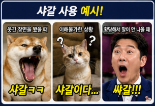 "샤갈은 욕일까 아닐까?" 샤갈 뜻 신조어 밈 유래 의미 왜 유행할까 총정리3