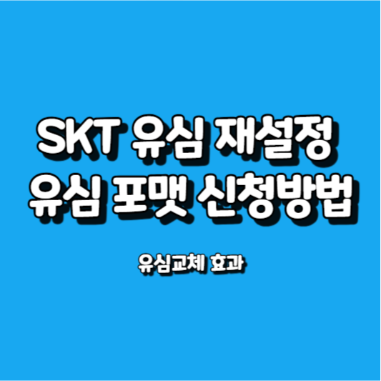 SKT 유심 재설정 유심 포맷 신청방법 썸네일