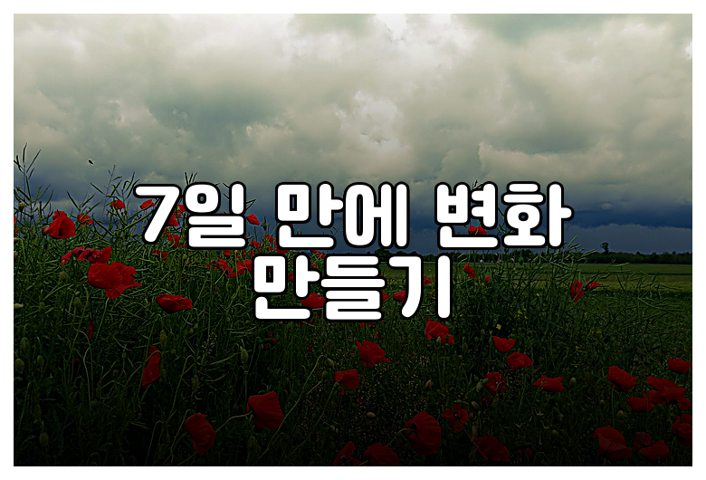 7일 만에 변화 만들기