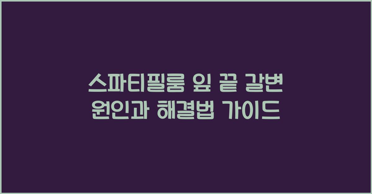 스파티필룸 잎 끝 갈변 원인