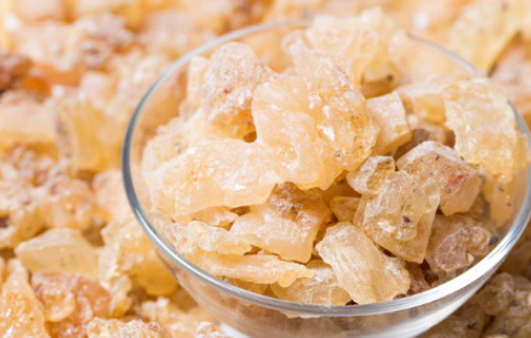 유향나무추출물