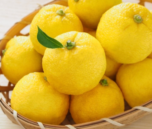 겨울 과일 종류