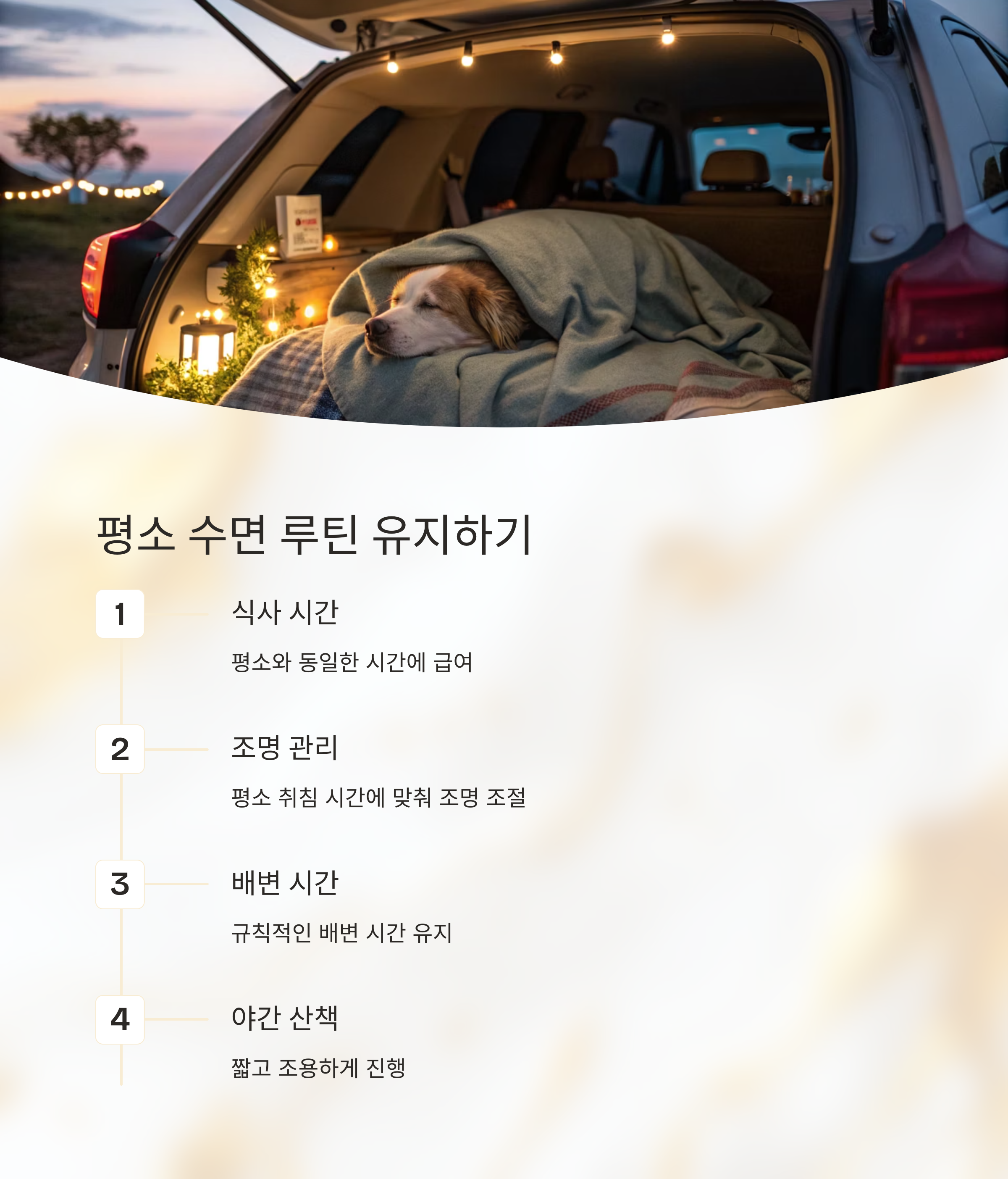 반려동물의 수면 습관