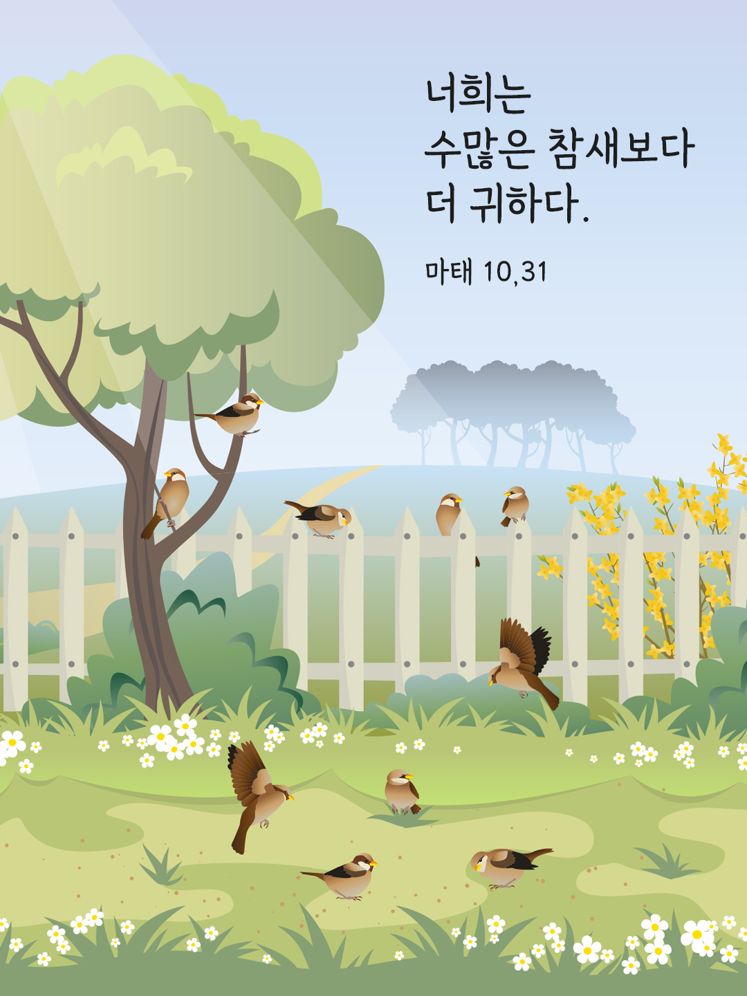 너희는 수많은 참새보다 더 귀하다. (마태 10&#44;31).