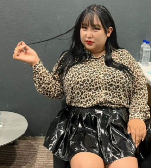 풍자