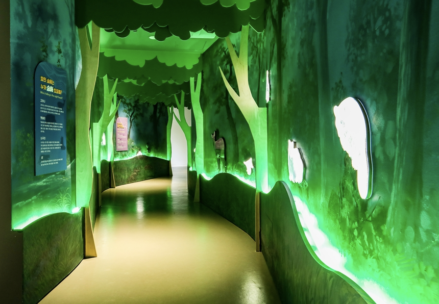 어린이세상 2층 자연탐험대8