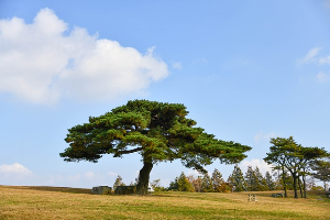 국내 여행지 추천 경주 가볼 만한 곳