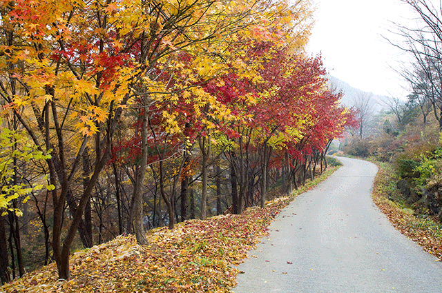 청양투어패스로 여행하기