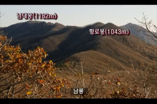 비로봉 산행 중 담은 향로봉·남대봉 방향 능선