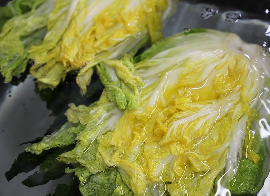 김장 김치 와 절임배추