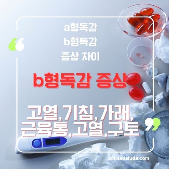 a형독감 b형독감 증상 차이 격리기간