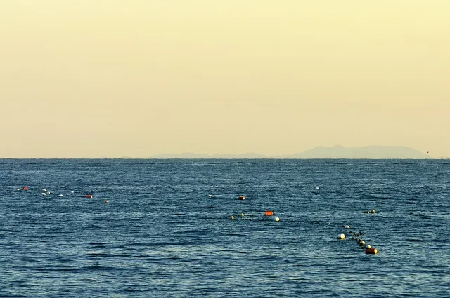 대마도 여행 1박2일 알차게 즐기는 코스 완벽 가이드북_1