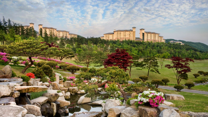 2025년 봄 여행 패키지 예약 완벽 가이드! 인기 여행지 & 혜택 총정리