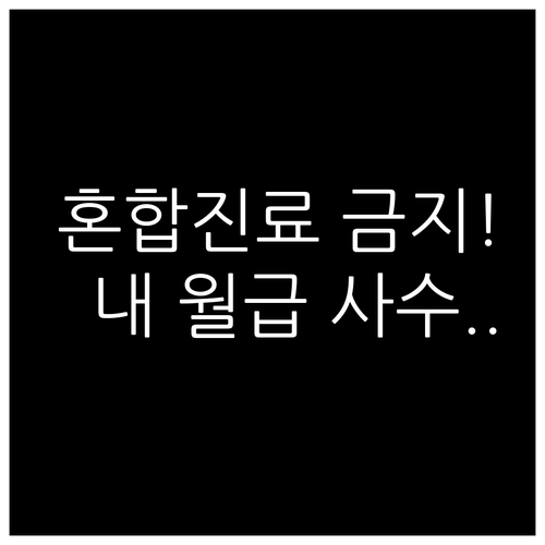 관리급여 도입 목적과 비급여 혼합 진..