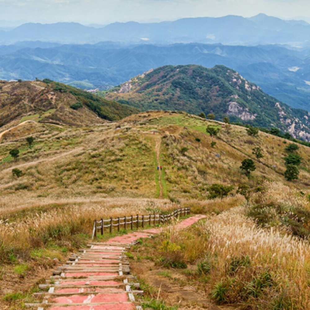 합천 황매산