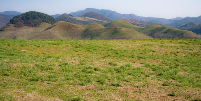 서산 한우목장 웰빙산책로, 충남 서산의 숨은 산책 명소