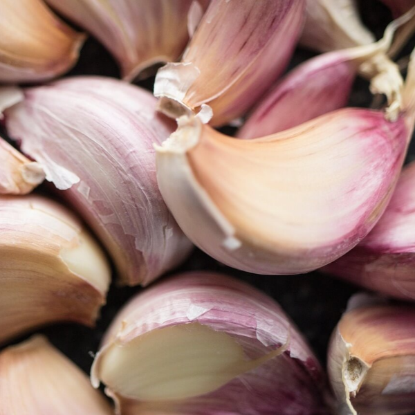 지방간에 좋은 음식 10 사진 11