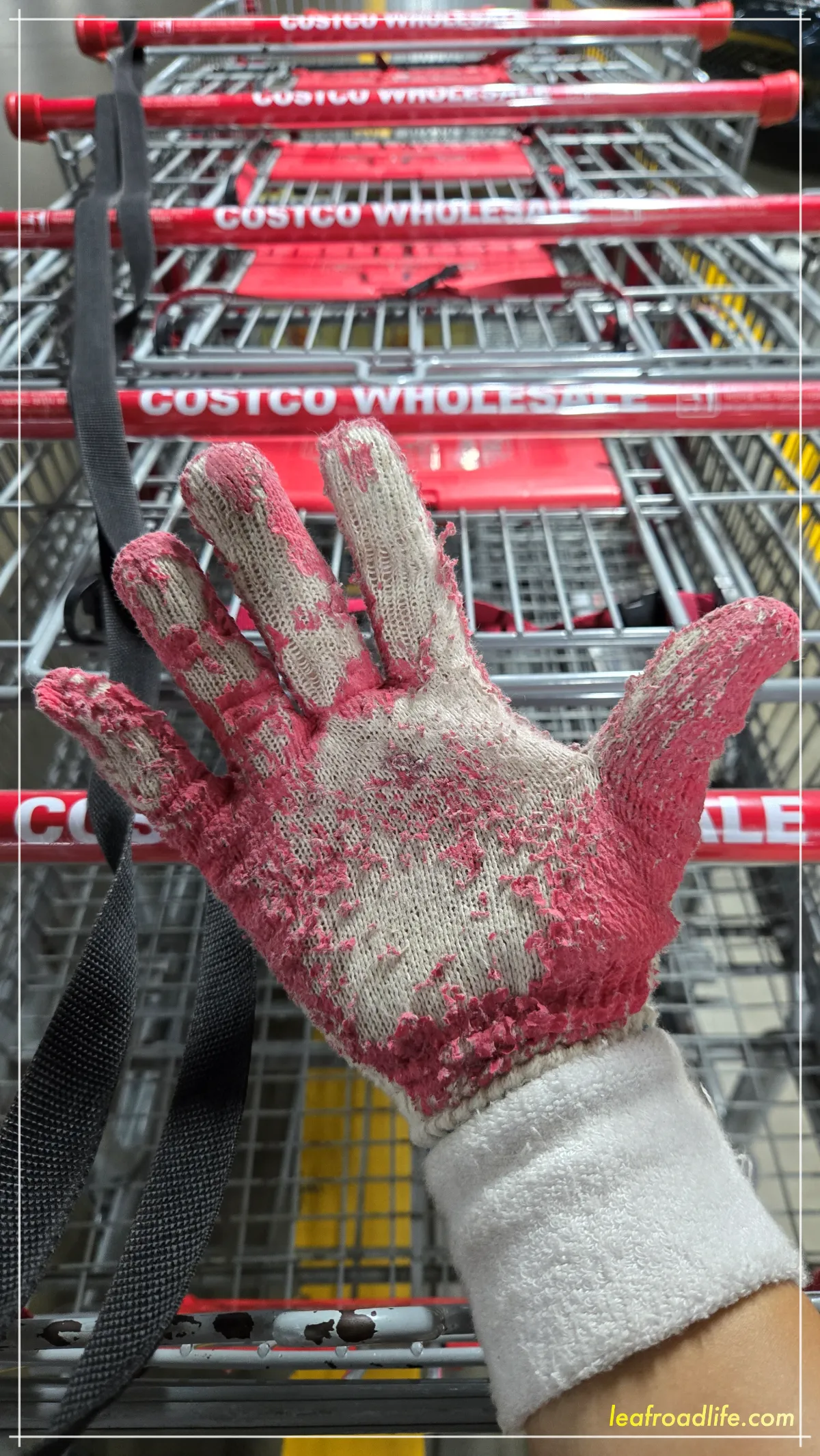 코스트코-카트관리-장갑