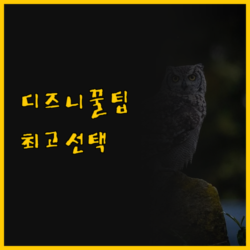 도쿄 디즈니 여행 전 필독 호텔 비교..