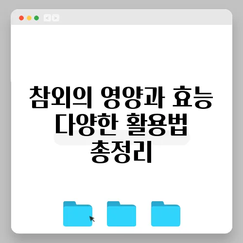 참외의 영양과 효능 다양한 활용법 총정리