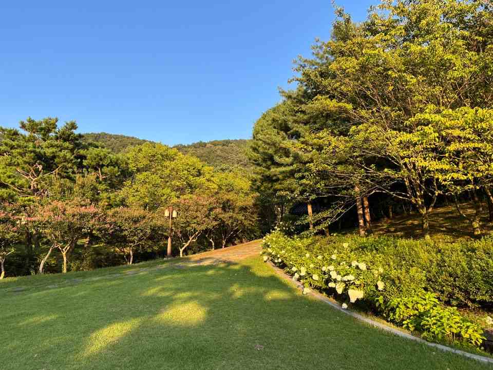 우암사적공원 잔디
