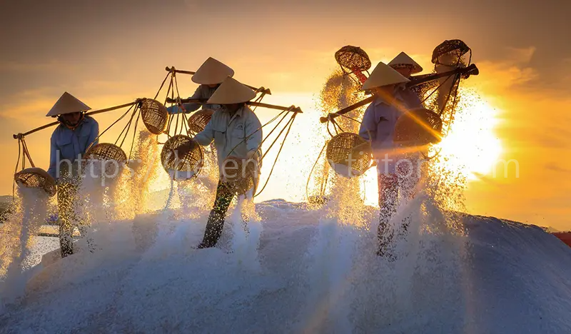 소금 만드는 이미지.