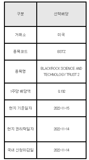 미국주식 선택배당 안내 BSTZ