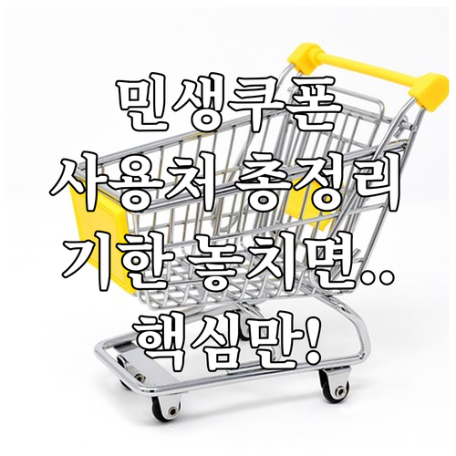 민생회복 소비쿠폰 사용기한과 사용처 ..