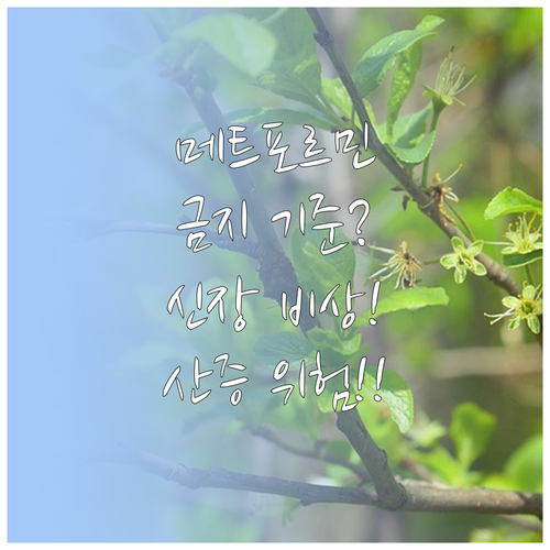 메트포르민 복용 금지 기준 유산산증 ..