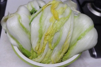 11월 제철음식 배추